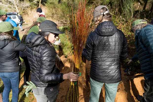Volunteers gather for a tree planting party at the Ten Mile Creek Sanctuary. - GRANT TANDY