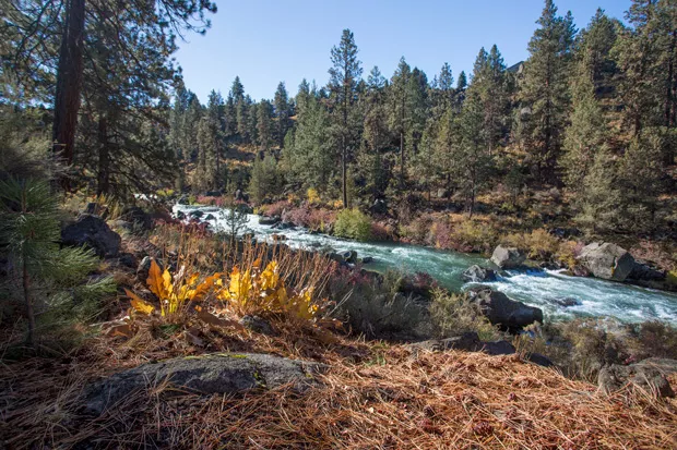 One of the many scenic spots by the Deschutes River at Riley Ranch Nature Reserve. - COURTESY BEND PARKS & REC