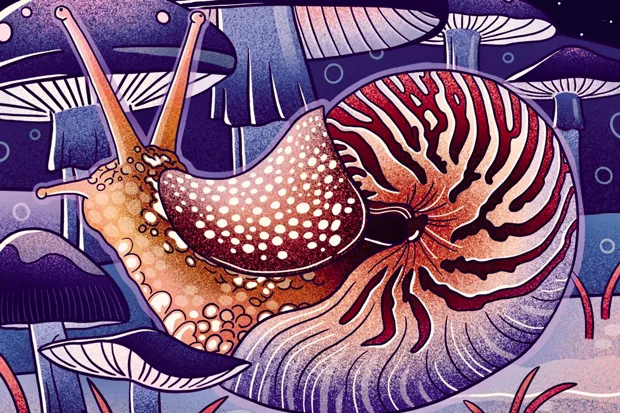 Artwork by Summit High’s Emma Harris who earned Gold Key honors recently from the Scholastic Arts Awards. - EMMA HARRIS