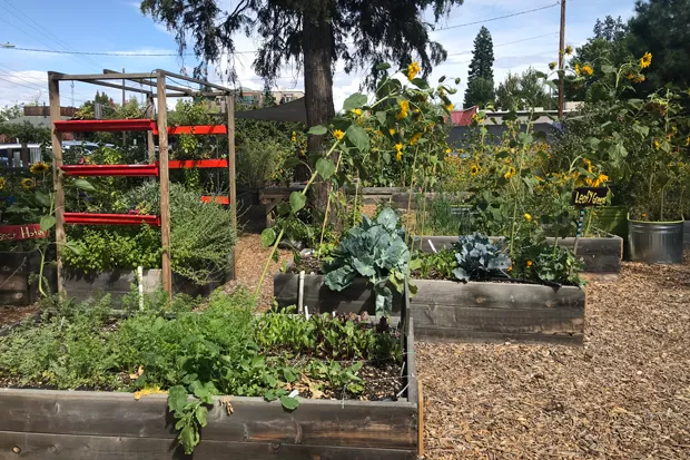Part of the The Environmental Center's Kansas Avenue Learning Garden. - DENISE ROWCROFT