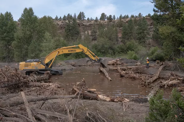 Construction crews place logs to help with the restoration of Whychus Creek at Rimrock Ranch. - RICK DINGUS