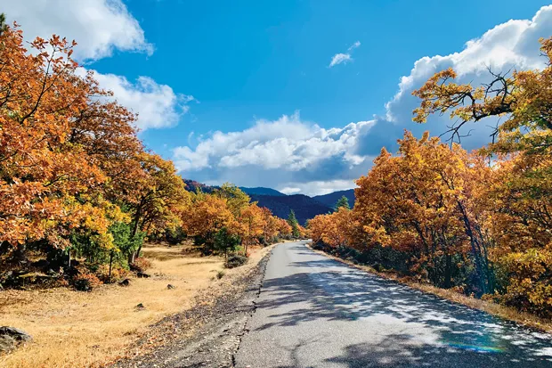 Wandering the backroads of Ashland. - JOSHUA SAVAGE