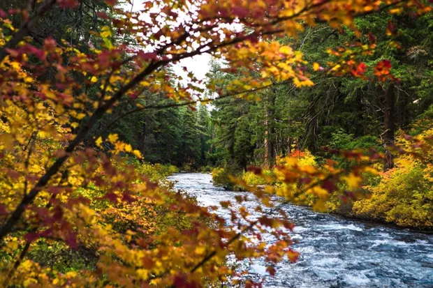 @joel_chadd_photography tagged us in this beautiful photo that is the epitome of fall! Those colors, though....Tag us on Instagram @sourceweekly for a chance to be featured here, and as the Instagram of the Week in the Cascades Reader. Winners get a free print from @highdesertframeworks. - @JOEL_CHADD_PHOTOGRAPHY/INSTAGRAM
