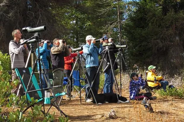 Volunteers scan the skies for migrating raptors at the Green Ridge Hawk Watch Site. - CHUCK GATES