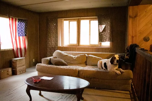 Paul Parrish's dog Lulu sits on the couch in his rental, one of the few pieces of furniture left as he prepares to move. - JACK HARVEL