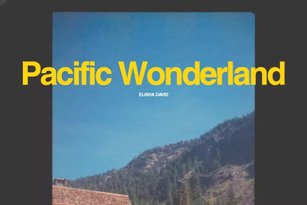 Get lost in Elisha David's latest release. - COURTESY OF PACIFIC WONDERLAND