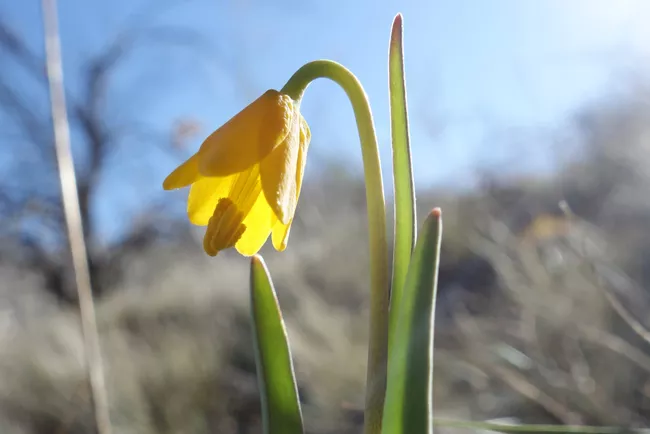 COURTESY DESCHUTES LAND TRUST