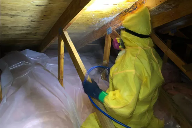 Sierra James Construction workers clear mold out of an attic. - COURTESY OF SIERRA JAMES CONSTRUCTION VIA FACEBOOK