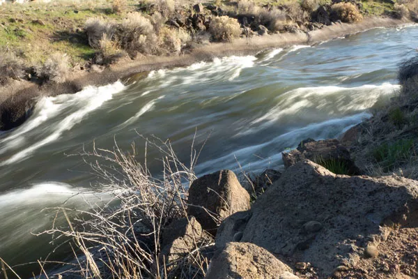 Water races through the Central Oregon Canal near Canal Row Park in Bend. - CHRIS MILLER