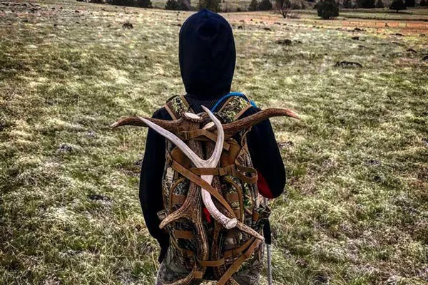 Have antler, will hunt for said antlers. - THOM SMITH
