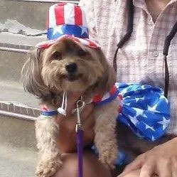 One cute dog. - SUBMITTED