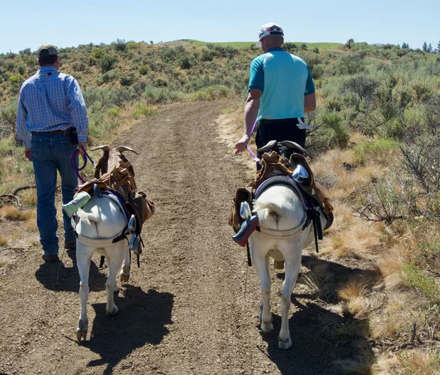 Mike LeChevon, left, and Bruce LeGoat pack clubs up a hill on the first hole of the Gauntlet Course at Silvies Valley Ranch. - CHRIS MILLER