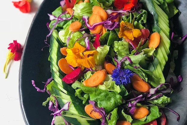 @cookbycolor is eating flowers, people! Tag @sourceweekly to appear in Lightmeter. - SUBMITTED