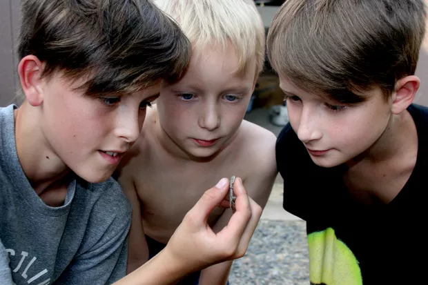 Daxon Anderson (holding lizard), Truman Anderson and Graham Anderson examine the lizard, captured by Daxon. - JIM ANDERSON