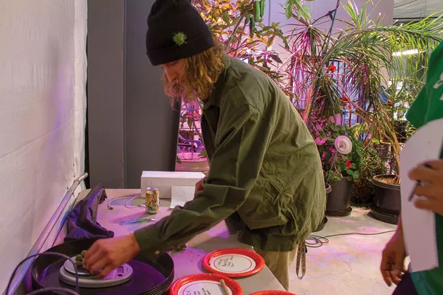 Chase Antonich of High Desert Botanicals tests his eyeball weighing skills. - KEELY DAMARA