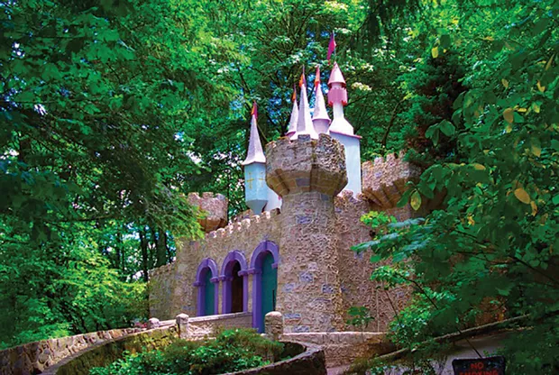 Enchanted Forest. - SUBMITTED