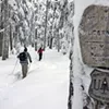 Getting a gift of experience—like a snowshoeing excursion—can be a way to foster family fun. Getting a gift of experience—like a snowshoeing excursion—can be a way to foster family fun.