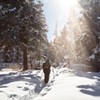 If You're New Here: Cross Country Skiing in Central Oregon