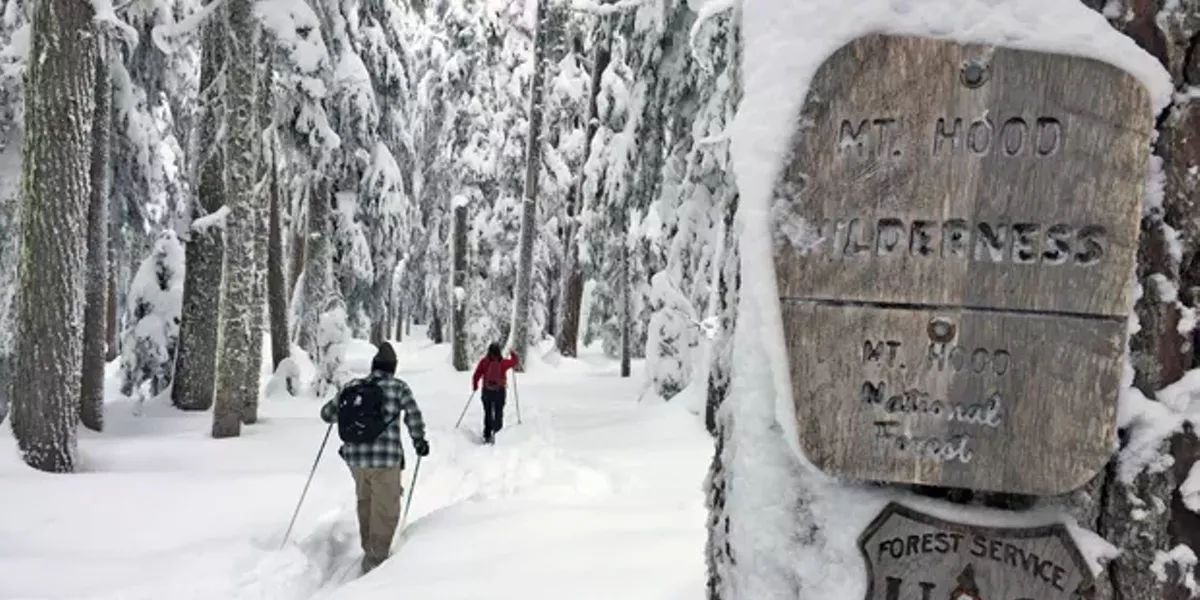Experience the Outdoors - Vimarsana News