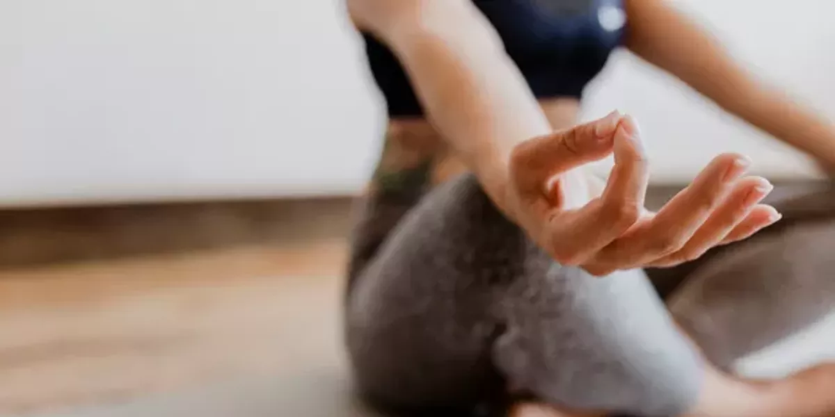 Downward Doghouse, Save The Inundate - Vimarsana News