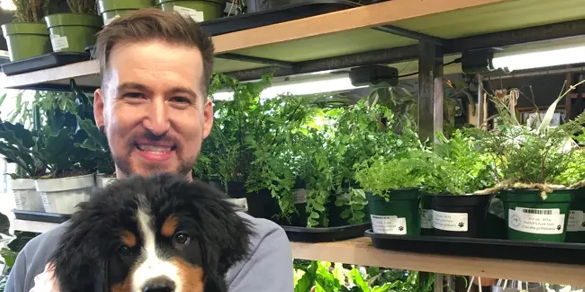 Precautions for Plants and Pets - Vimarsana News