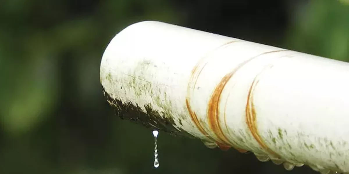 Reduce, Reuse, Rebate: The Three R's of Urban Water Conservation - Vimarsana News