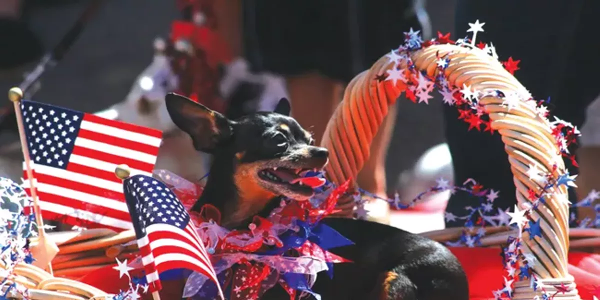 Bend's Pet Parade: Then and Now | Culture Features | Bend | The Source Weekly - Vimarsana News