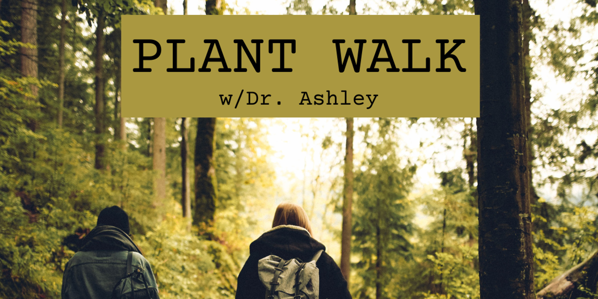 Medicinal Plant Walk - Vimarsana News