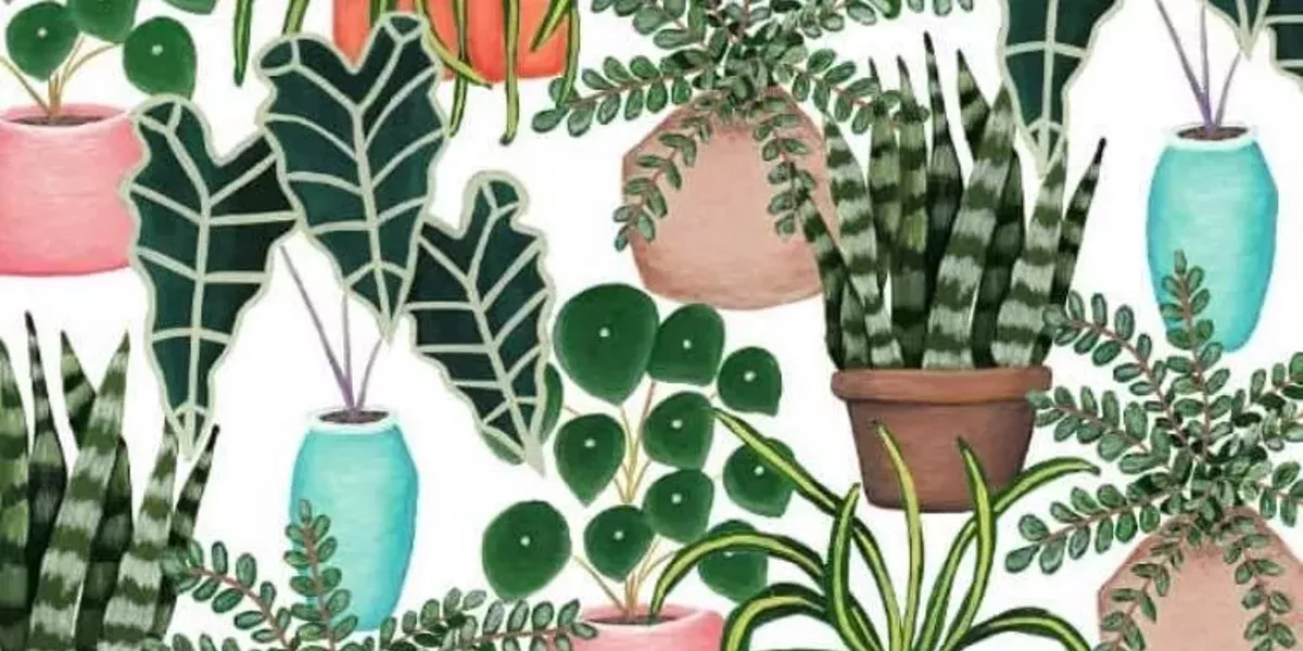 House Plant Sale and Exchange - Vimarsana News