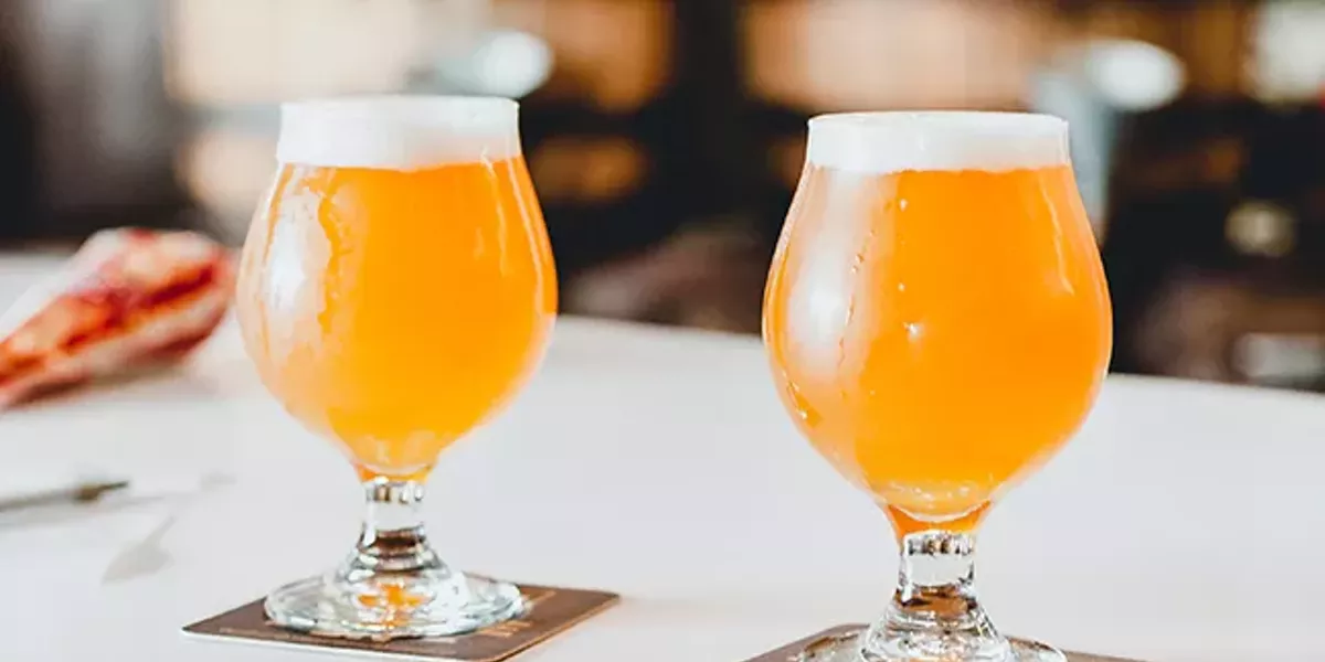 The Confusing Case of Cold IPAs - Vimarsana News