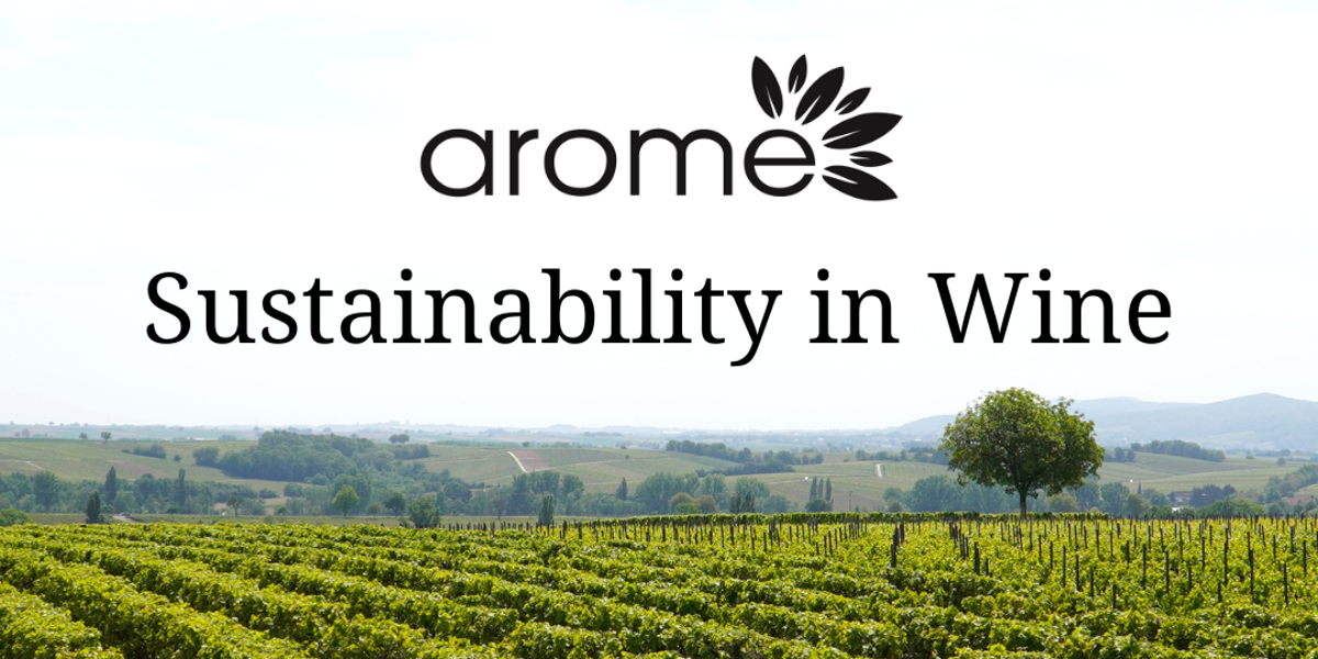 Know Sustainability: Sustainable Wine Featuring Bedrock Wine Co. - Vimarsana News
