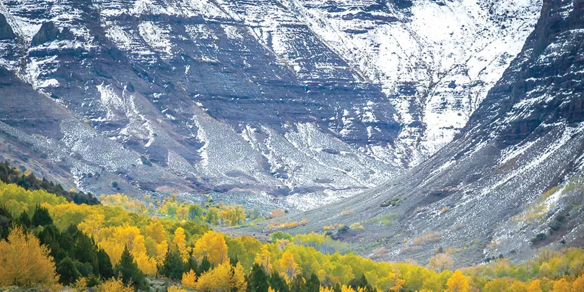 A Dozen Desert Wonders - Vimarsana News