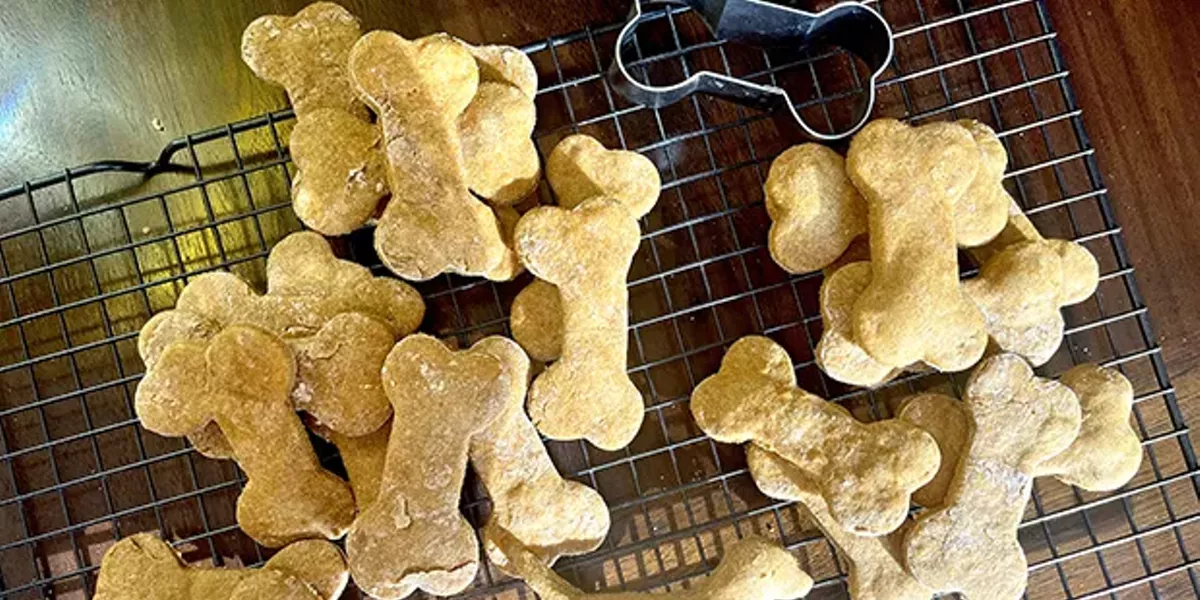 Easy to Make Cookies for Canines - Vimarsana News