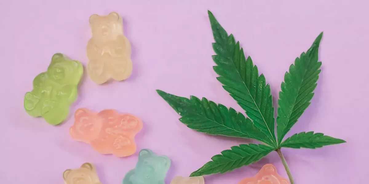 The Latest in Cannabis - Vimarsana News