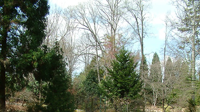 Winter Walk at the UNC Charlotte Botanical Gardens