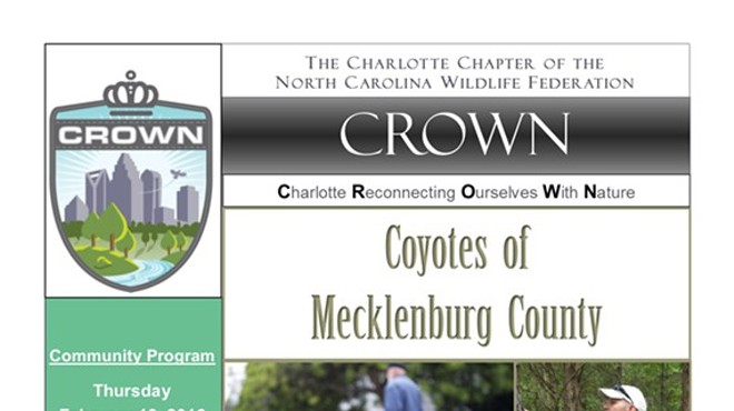 Coyotes of Mecklenburg County