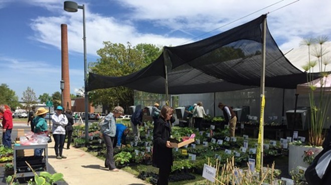 Spring Plant Sale at the UNC Charlotte Botanical Gardens