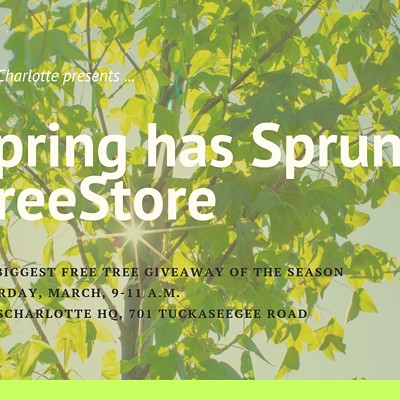 Spring Has Sprung TreeStore