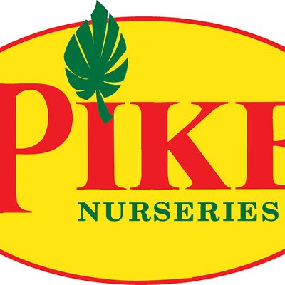 Pike Kids Series Class about Seeds