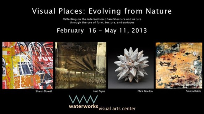 Visual Places - Evolving from Nature