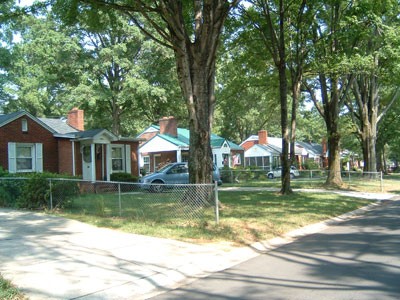 A tree-lined street in Shamrock Gardens, just north of NoDa - TARA SERVATIUS