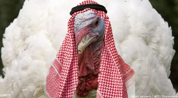 Islam-Turkey-cropped-proto-custom_28.jpg
