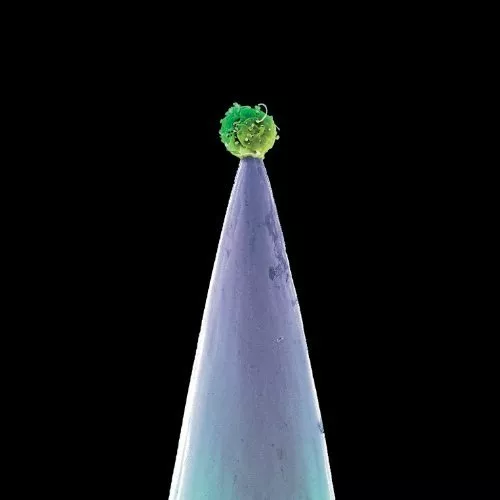 new-blood_peter-gabriel-99902090194_6785522_600.jpg