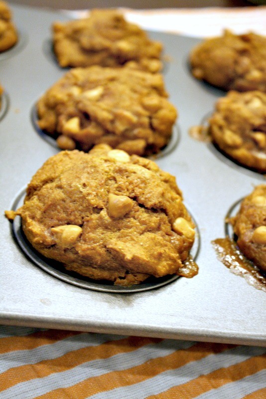 Chewy pumpkin muffins with sweet bites of butterscotch