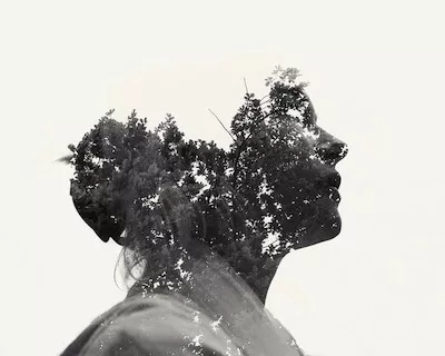 Christoffer Relander's works at MoNa Gallery