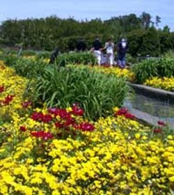 RADOK - Daniel Stowe Botanical Garden