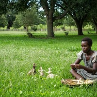 FIELD OF OSCAR DREAMS: 12 Years a Slave, starring Best Supporting Actress nominee Lupita Nyong'o, should do well on Sunday night. (Photo: Fox Searchlight)