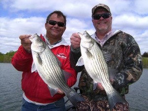 Fishermen with their striped bass. (Photo credit: HuntFishGuide.com)