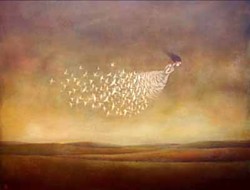 &#39;FREEDOM&#39; by Duy Huynh