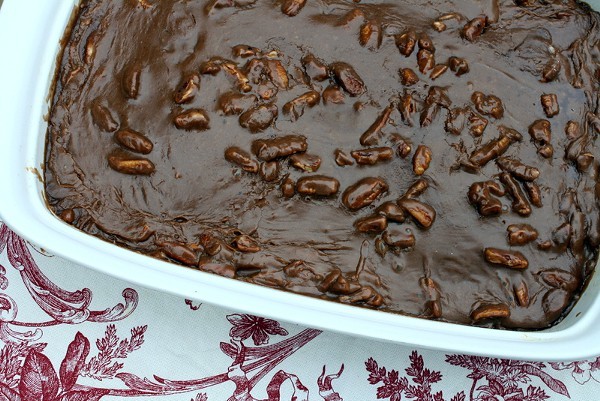 Fudgy Cake with Pecans